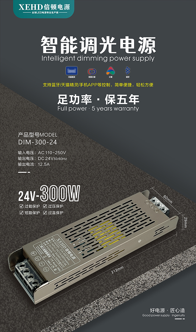 DIM-300W-12V/24V